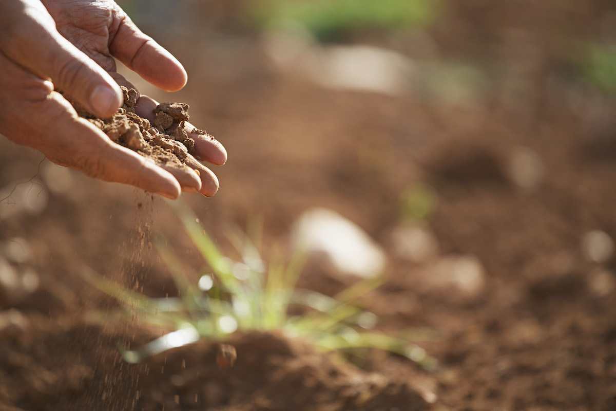 NM Healthy Soil Working Group