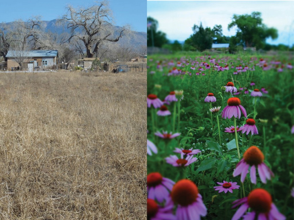 Nepantla Farms